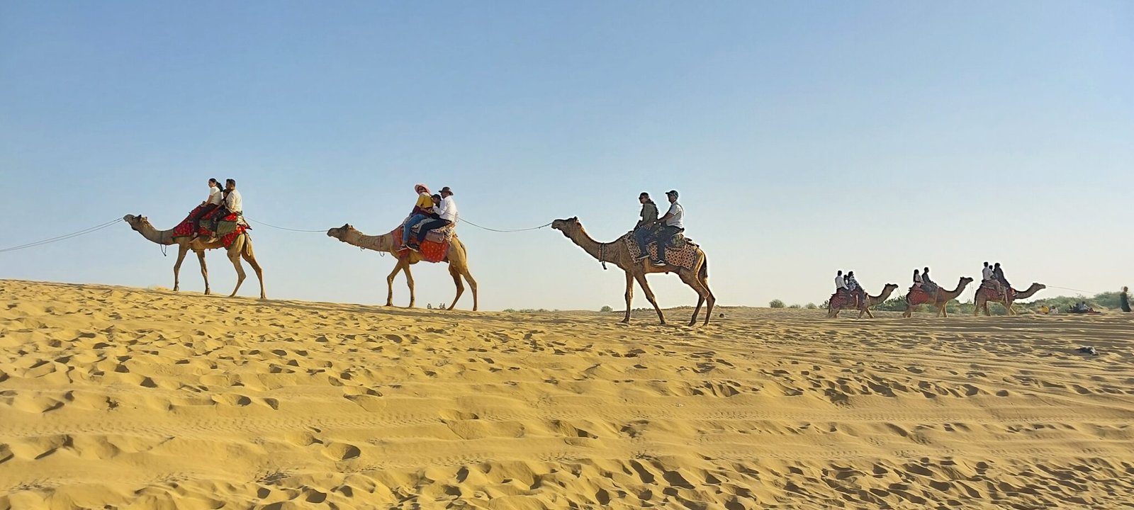 Camel_rides_in_Jaisalmer_Thar Desert
