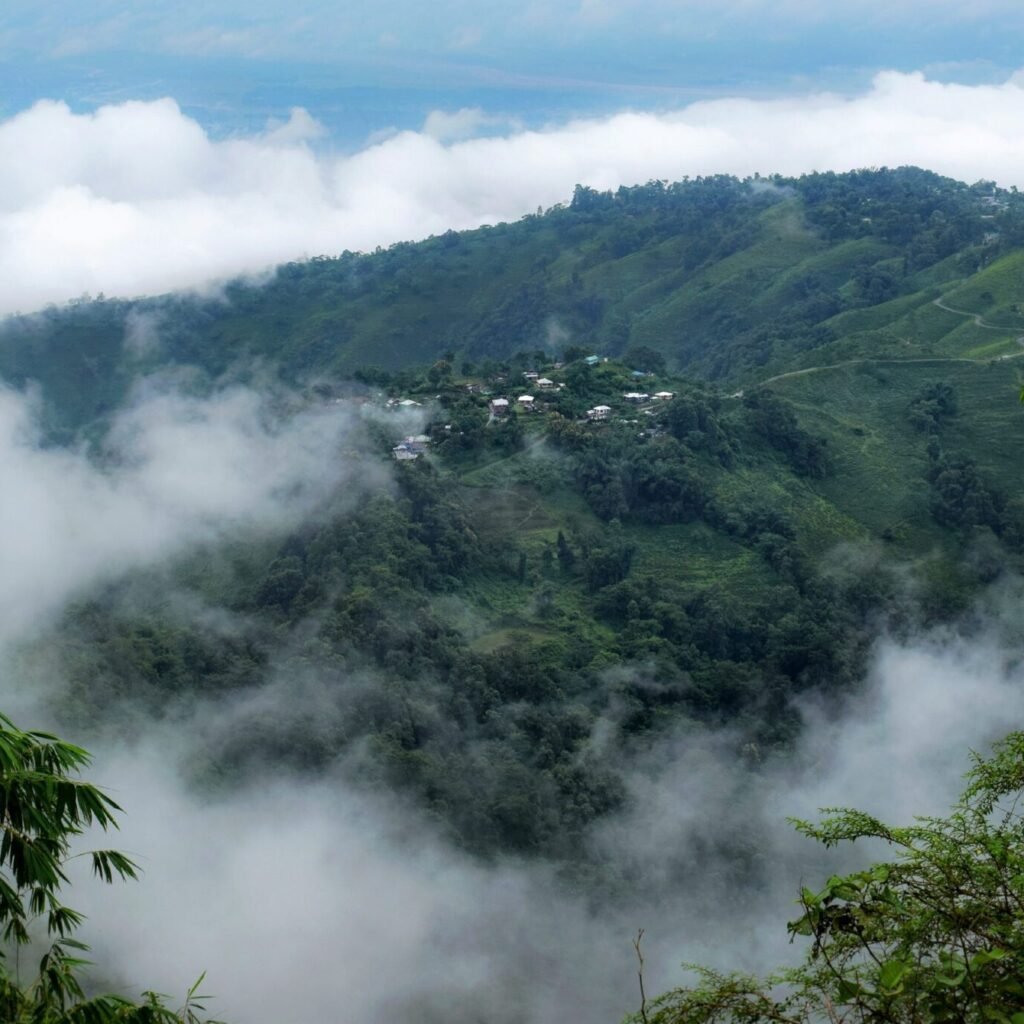darjeeling hills