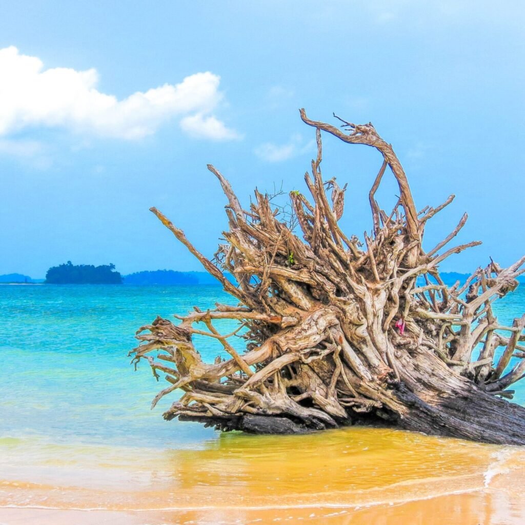 Wandoor beach Andaman Islands