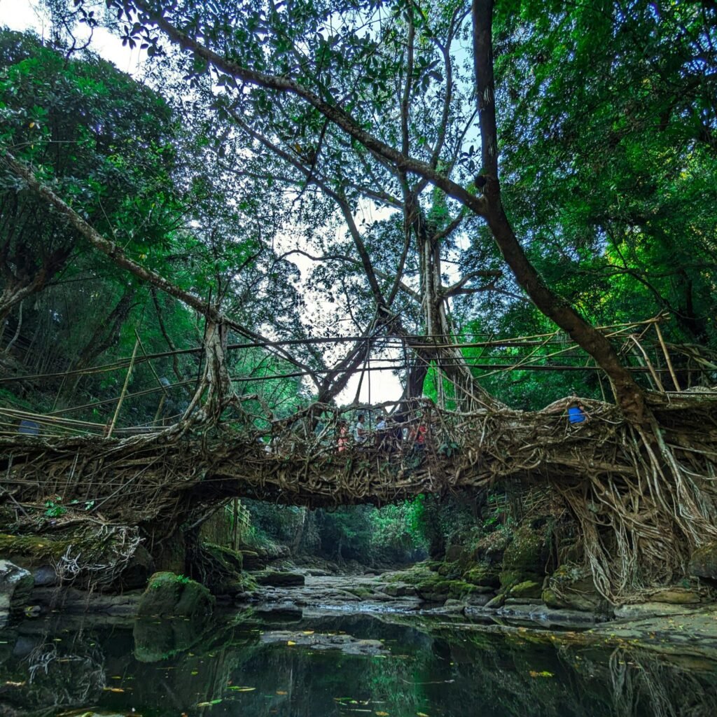 beauty-of-meghalaya