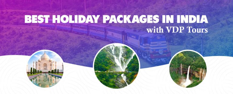 best holiday packagesin india with vdp tours