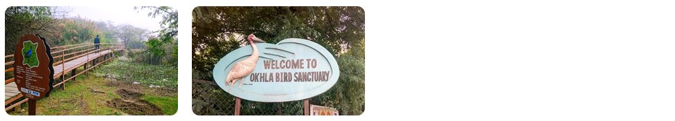 okhla bird sanctuary
