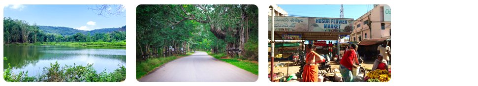 things to do in hosur