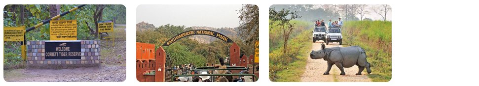 top historical tourist eleven