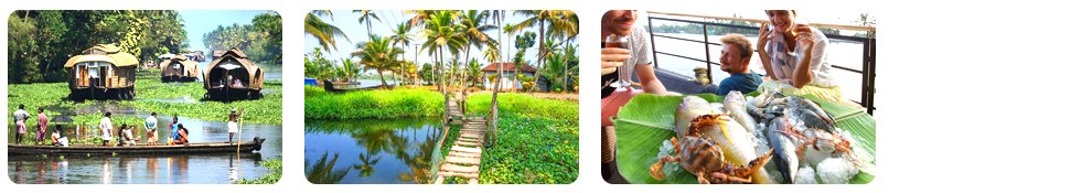 alleppey the backwater experience