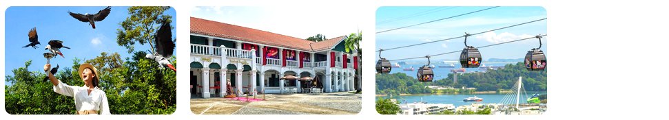 day 2 bird paradise and sentosa island tour