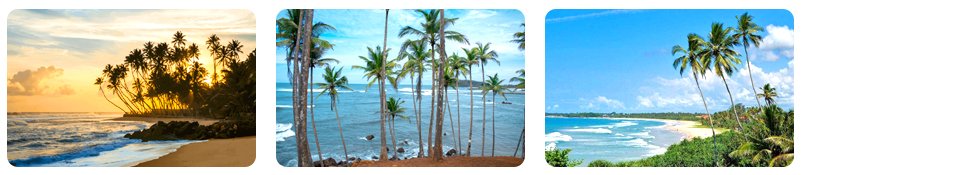 december to march best for the west and south