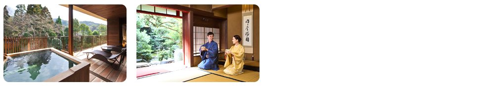 japan honeymoon package from chennai