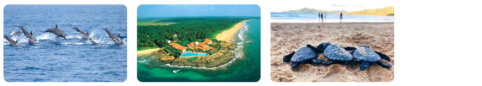 mirissa and bentota beach relaxation