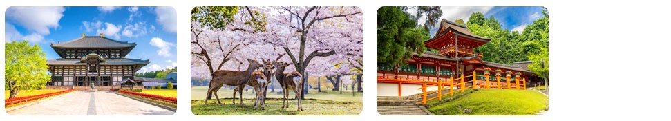 nara ancient capital and sacred deer