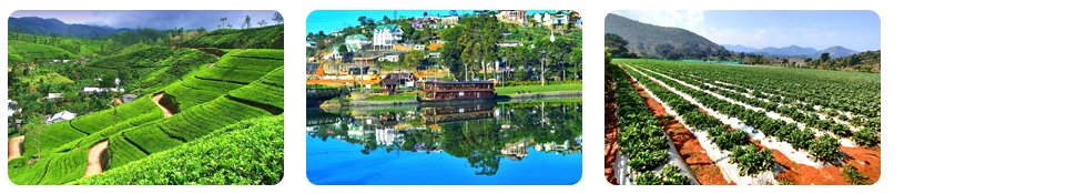 nuwara eliya the hill country