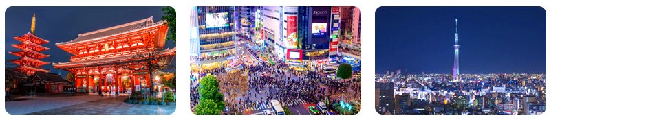 tokyo the city of contrasts