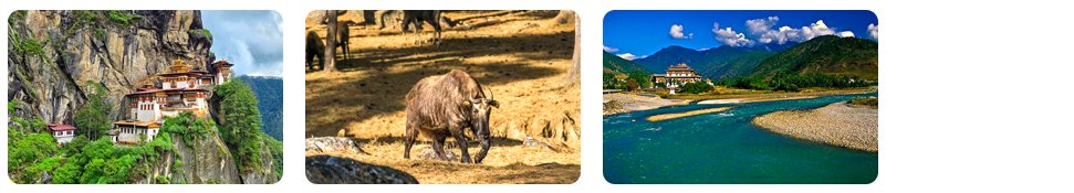 bhutan family tour package