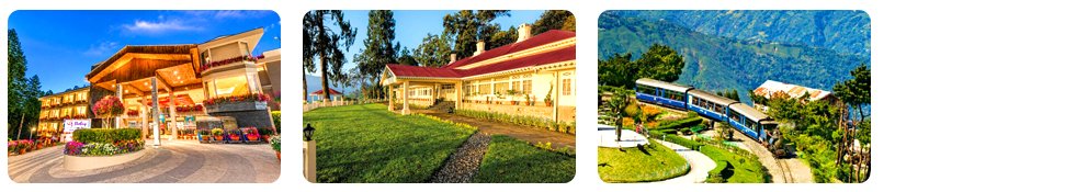 darjeeling honeymoon package